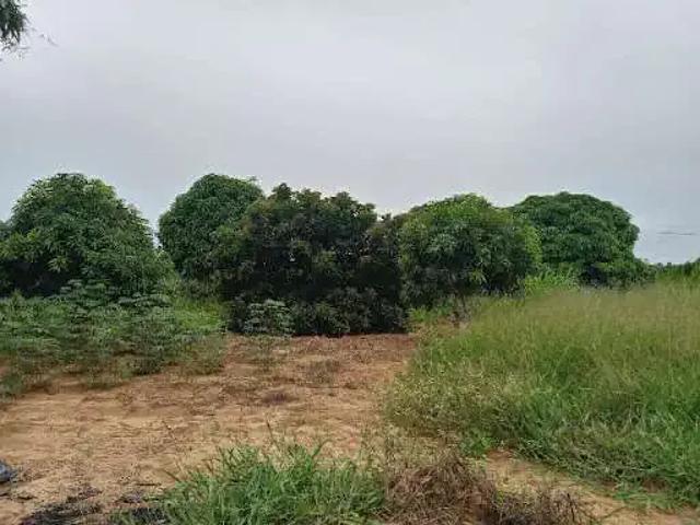 Sítio e chácara venda em Jaguaquara, Região Nordeste