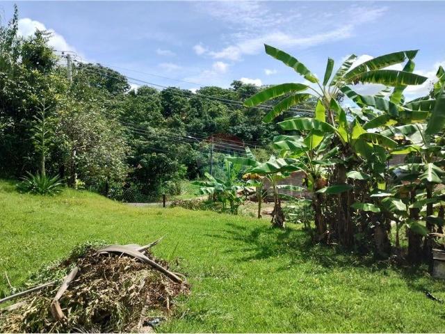 Sítio e chácara venda em Chácaras Santo Antônio do Jardim, Santo Antônio de Posse
