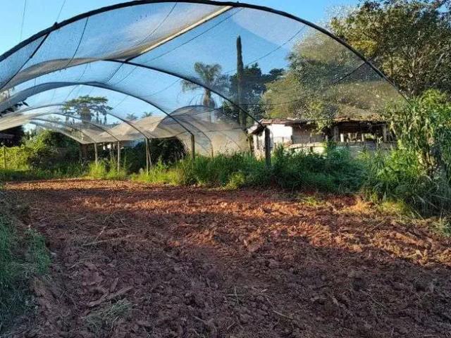Sítio e chácara venda em Região Imediata de Campinas, Região Metropolitana de Campinas