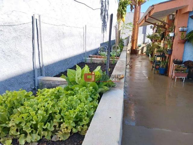 Sítio e chácara venda em Vila 7 de Setembro, Jaguariúna