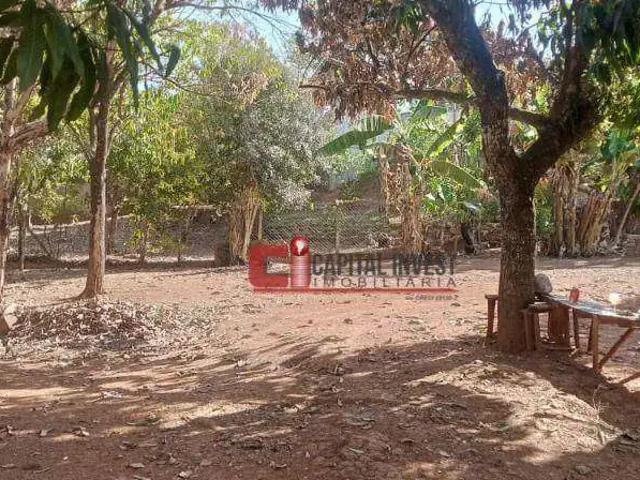 Sítio e chácara venda em Região Imediata de Campinas, Região Metropolitana de Campinas