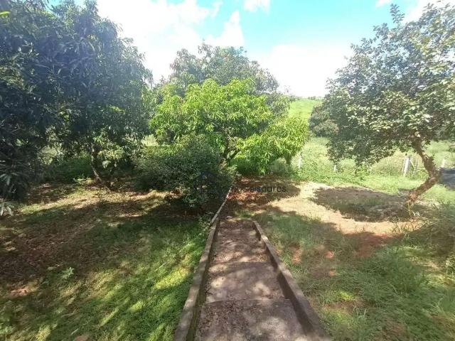 Sítio e chácara venda em Vila São Francisco, Jaguariúna
