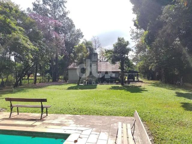 Sítio e chácara venda em Jardim Dona Irma, Jaguariúna