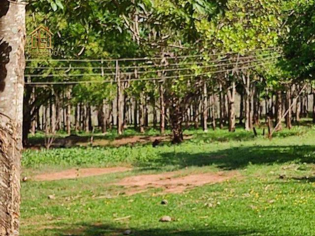 Sítio e chácara venda em Região Imediata de Jales, Jales