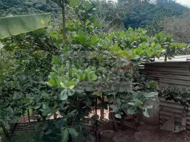 Sítio e chácara venda em Região Imediata de São José dos Campos, Região Metropolitana do Vale do Paraíba e Litoral Norte