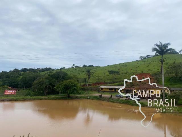 Sítio e chácara venda em Jambeiro