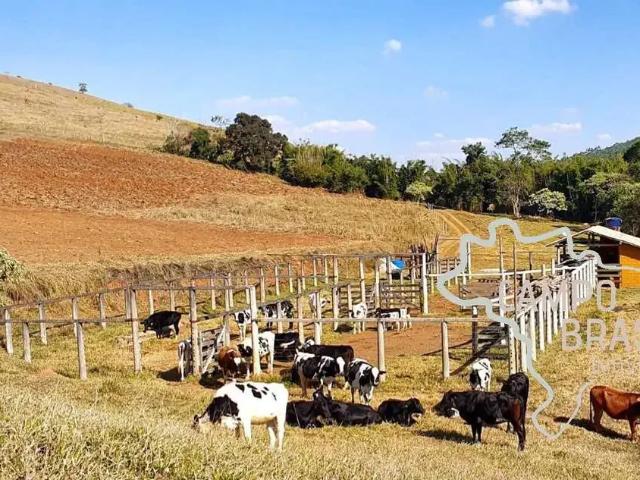 Sítio e chácara venda em Região Imediata de São José dos Campos, Região Metropolitana do Vale do Paraíba e Litoral Norte