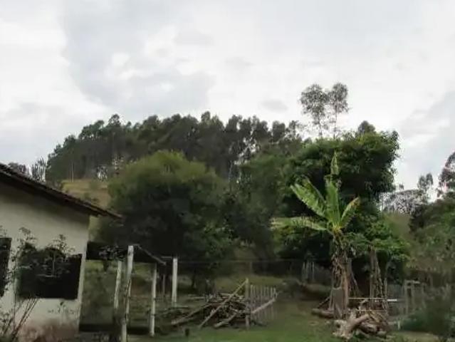 Sítio e chácara venda em Capivari