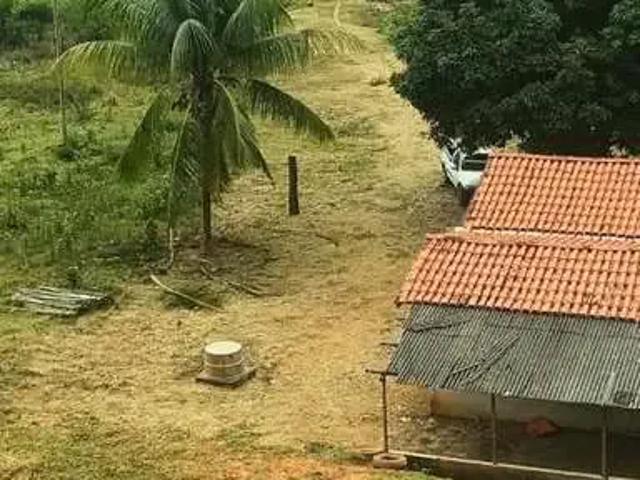 Sítio e chácara venda em Região Geográfica Imediata de Governador Valadares, Jampruca