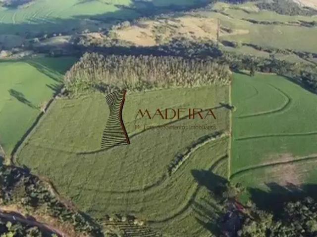 Sítio e chácara venda em Região Geográfica Imediata de Apucarana, Jandaia do Sul