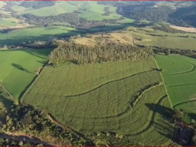 Sítio e chácara venda em Vila Paiao, Jandaia do Sul
