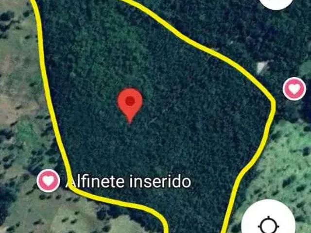 Sítio e chácara venda em Região Geográfica Imediata de Palmeiras de Goiás, Jandaia