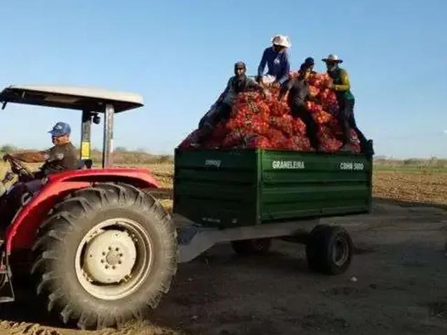 Sítio e chácara venda em Jandaíra