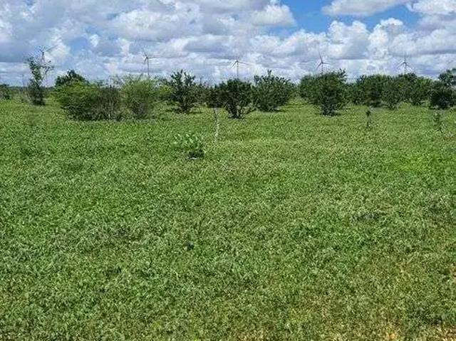 Sítio e chácara venda em Jandaíra