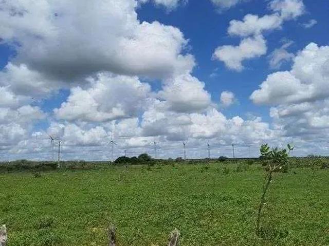 Sítio e chácara venda em Jandaíra