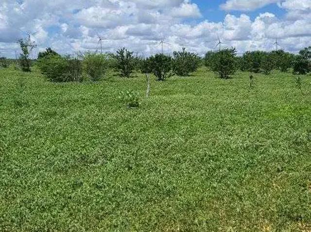 Sítio e chácara venda em Jandaíra