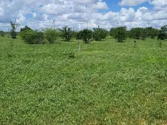 Sítio e chácara venda em Jandaíra