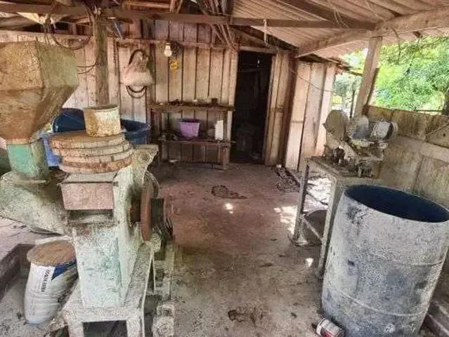 Sítio e chácara venda em Região Geográfica Imediata de Cuiabá, Jangada