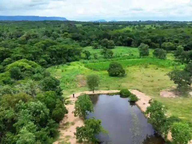 Sítio e chácara venda em Região Geográfica Imediata de Cuiabá, Jangada