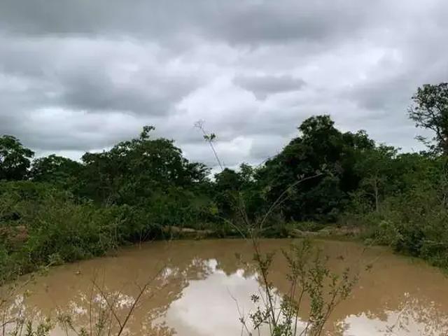 Sítio e chácara venda em Região Geográfica Imediata de Cuiabá, Jangada