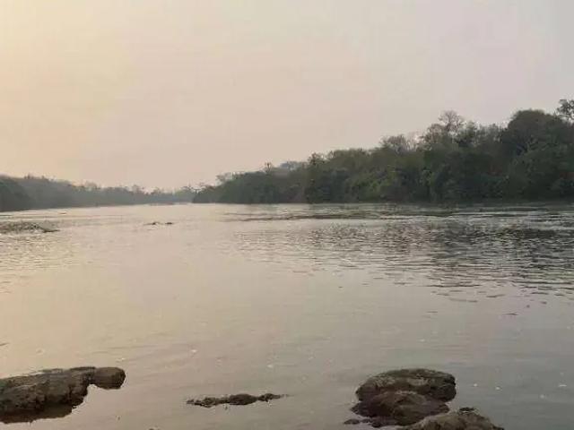 Sítio e chácara venda em Região Geográfica Imediata de Cuiabá, Jangada