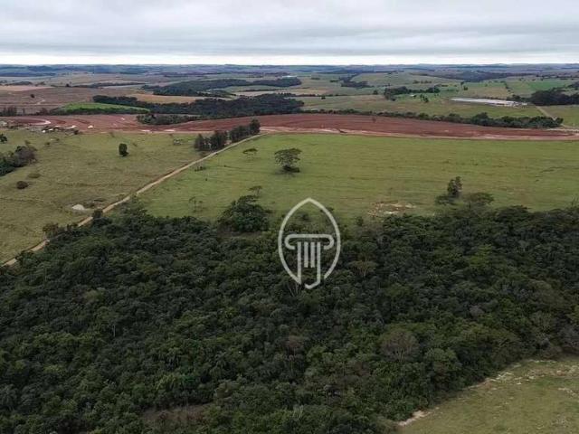 Sítio e chácara venda em Janiópolis, Região Geográfica Intermediária de Maringá
