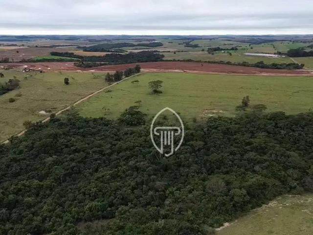 Sítio e chácara venda em Região Geográfica Imediata de Campo Mourão, Janiópolis