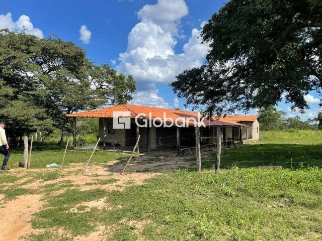 Sítio e chácara venda em Januária, Região Geográfica Intermediária de Montes Claros