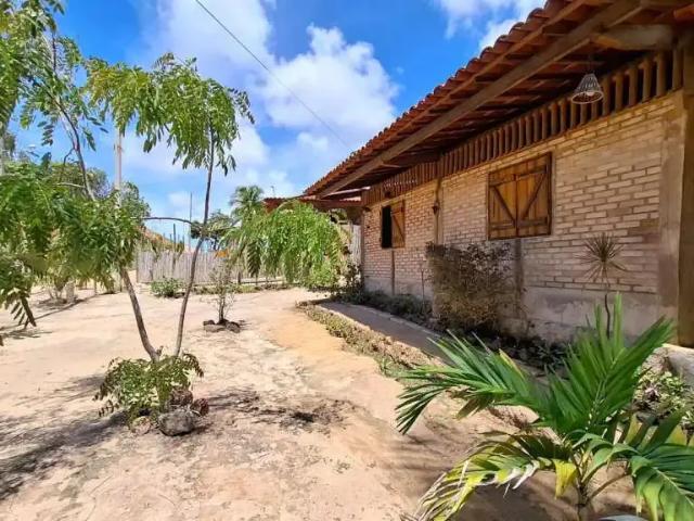 Sítio e chácara venda em Região Geográfica Imediata de Porto Calvo-São Luís do Quitunde, Japaratinga