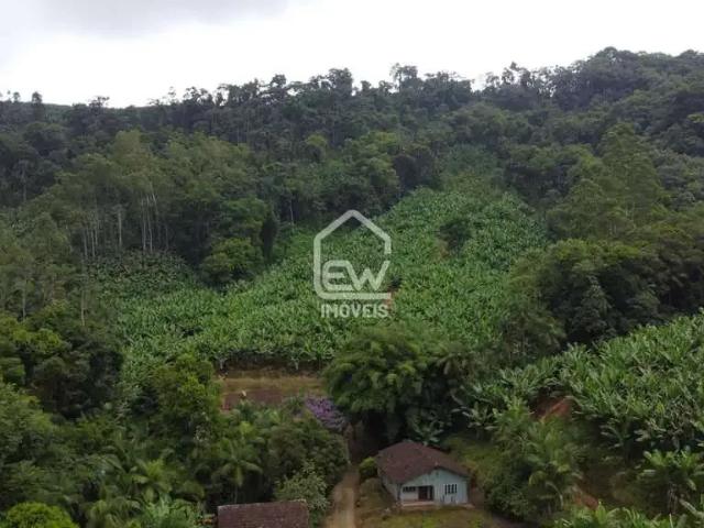 Sítio e chácara venda em Região Geográfica Imediata de Joinville, Jaraguá do Sul