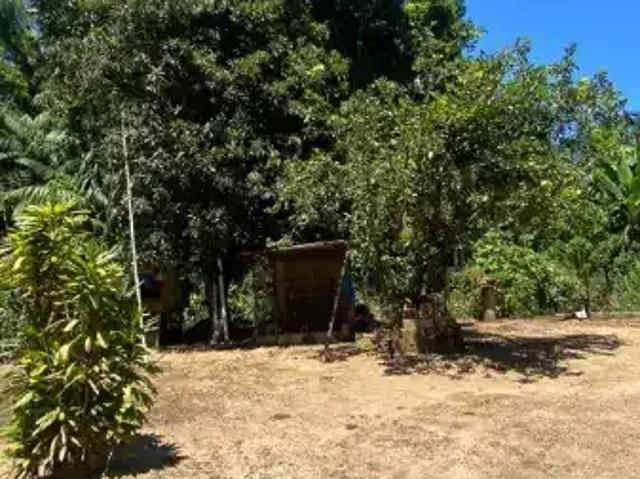 Sítio e chácara venda em Centro, Jaraguá do Sul