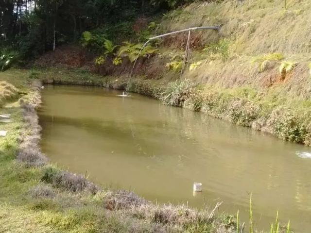 Sítio e chácara venda em Região Geográfica Imediata de Joinville, Jaraguá do Sul