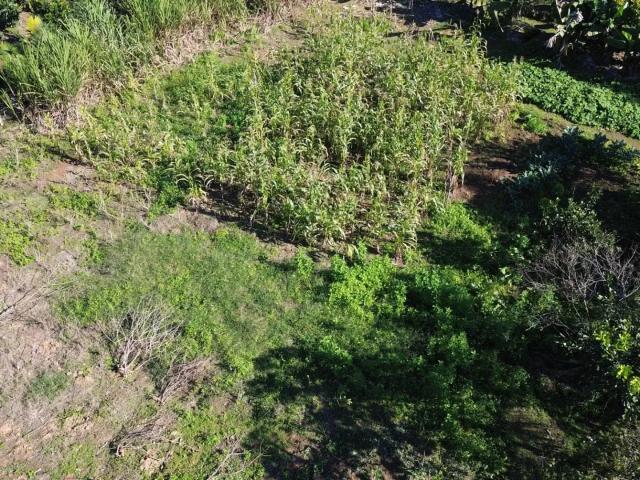 Sítio e chácara venda em Região Geográfica Imediata de Joinville, Jaraguá do Sul