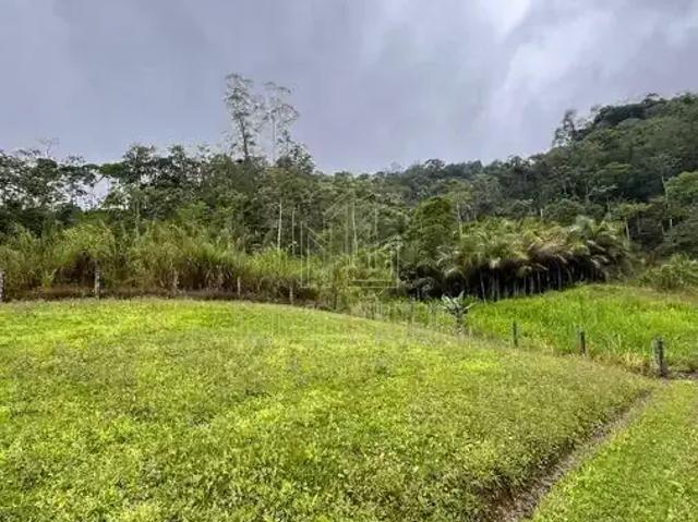 Sítio e chácara venda em Região Geográfica Imediata de Joinville, Jaraguá do Sul