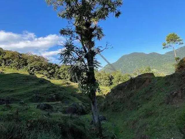 Sítio e chácara venda em Região Geográfica Imediata de Joinville, Jaraguá do Sul