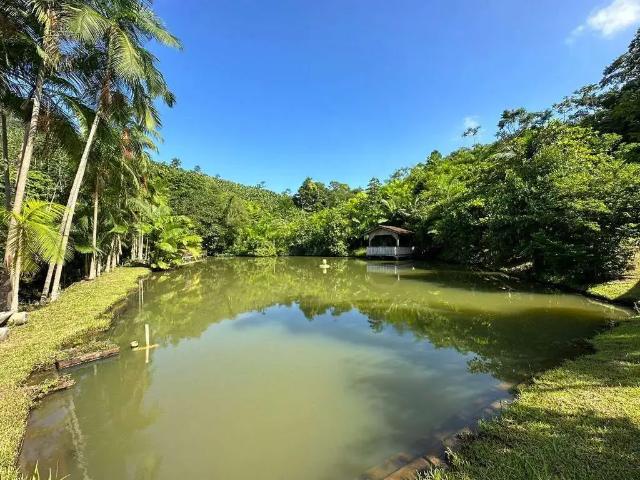 Sítio e chácara venda em Região Geográfica Imediata de Joinville, Jaraguá do Sul