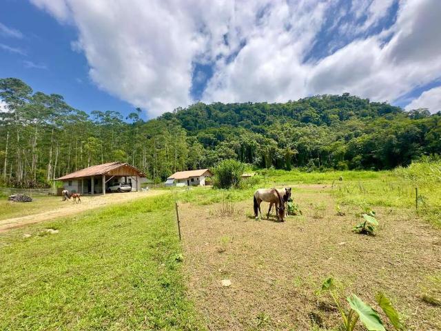 Sítio e chácara venda em Região Geográfica Imediata de Joinville, Jaraguá do Sul