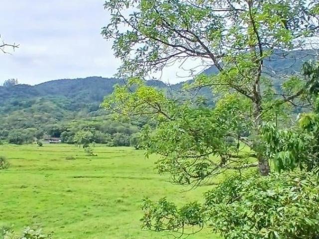 Sítio e chácara venda em Residencial Riviera, Jaraguá do Sul