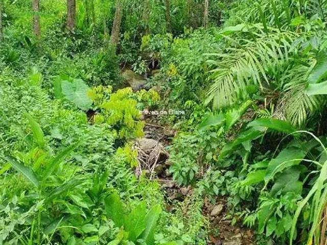 Sítio e chácara venda em Região Geográfica Imediata de Joinville, Jaraguá do Sul