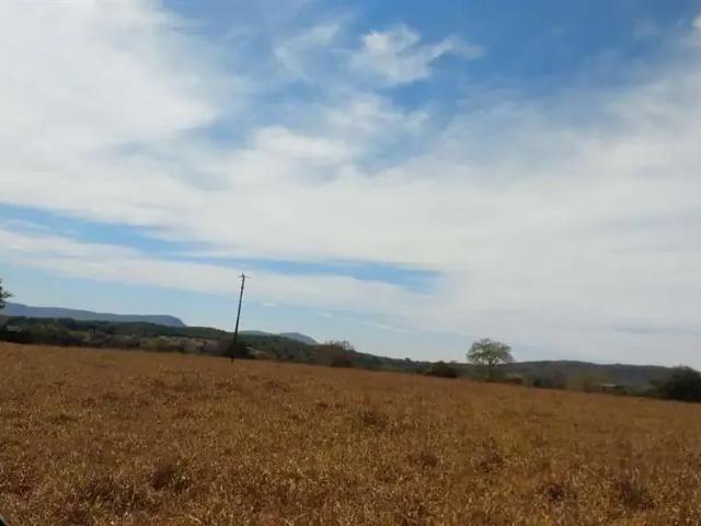 Sítio e chácara venda em Região Geográfica Imediata de Anápolis, Jaraguá