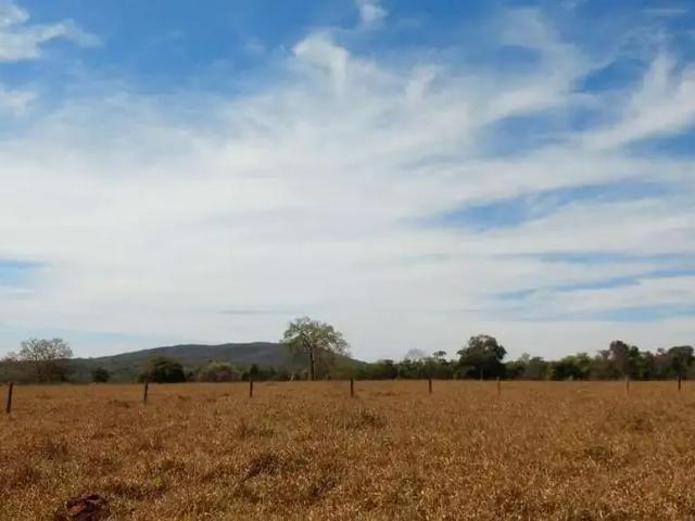 Sítio e chácara venda em Região Geográfica Imediata de Anápolis, Jaraguá