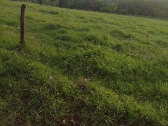 Sítio e chácara venda em Região Geográfica Imediata de Campo Grande, Jaraguari