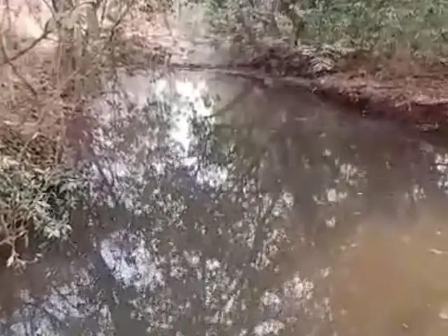 Sítio e chácara venda em Região Geográfica Imediata de Campo Grande, Jaraguari
