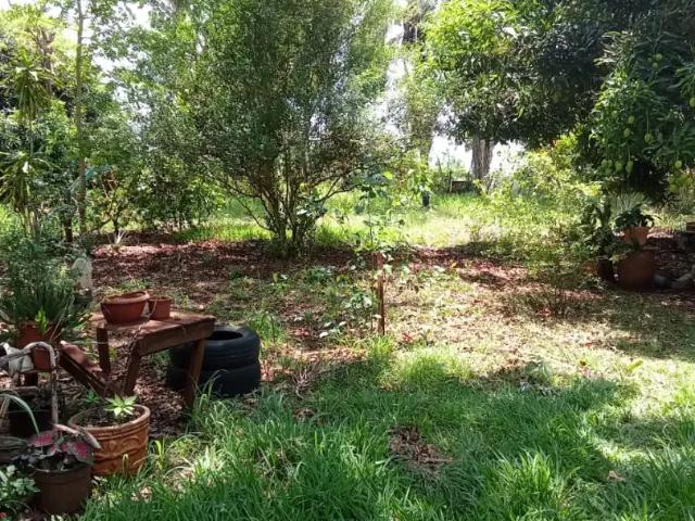 Sítio e chácara venda em Região Geográfica Imediata de Campo Grande, Jaraguari