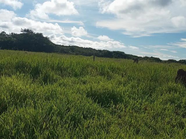 Sítio e chácara venda em Região Geográfica Imediata de Campo Grande, Jaraguari