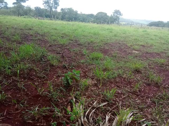 Sítio e chácara venda em Região Geográfica Imediata de Campo Grande, Jaraguari