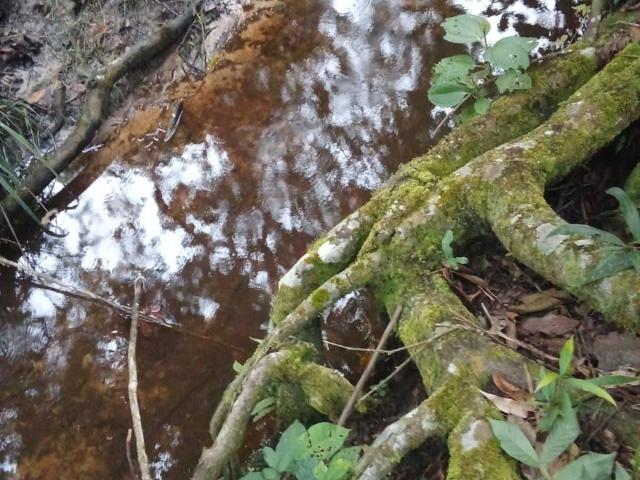 Sítio e chácara venda em Região Geográfica Imediata de Campo Grande, Jaraguari