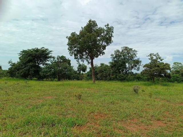 Sítio e chácara venda em Região Geográfica Imediata de Campo Grande, Jaraguari