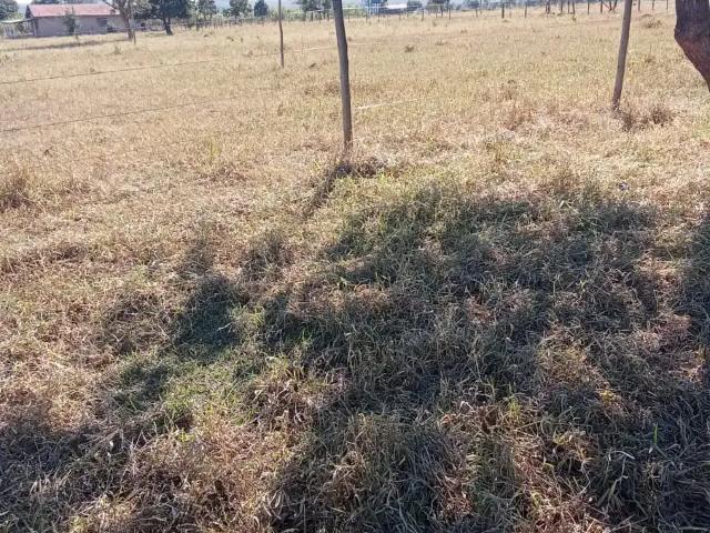 Sítio e chácara venda em Região Geográfica Imediata de Campo Grande, Jaraguari