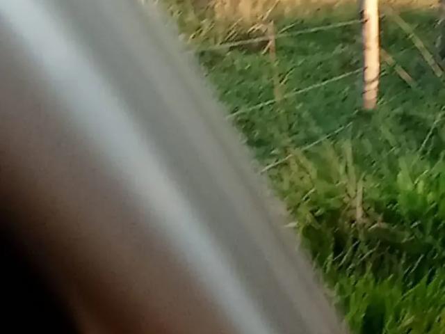 Sítio e chácara venda em Região Geográfica Imediata de Campo Grande, Jaraguari